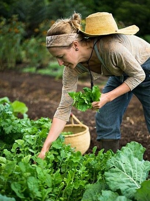 garden62354.jpg
